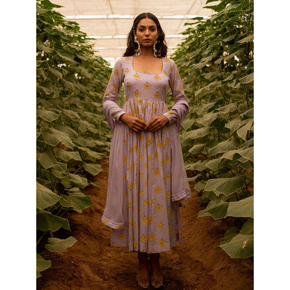 Baise Gaba Lavender Lavender Beauty Anarkali