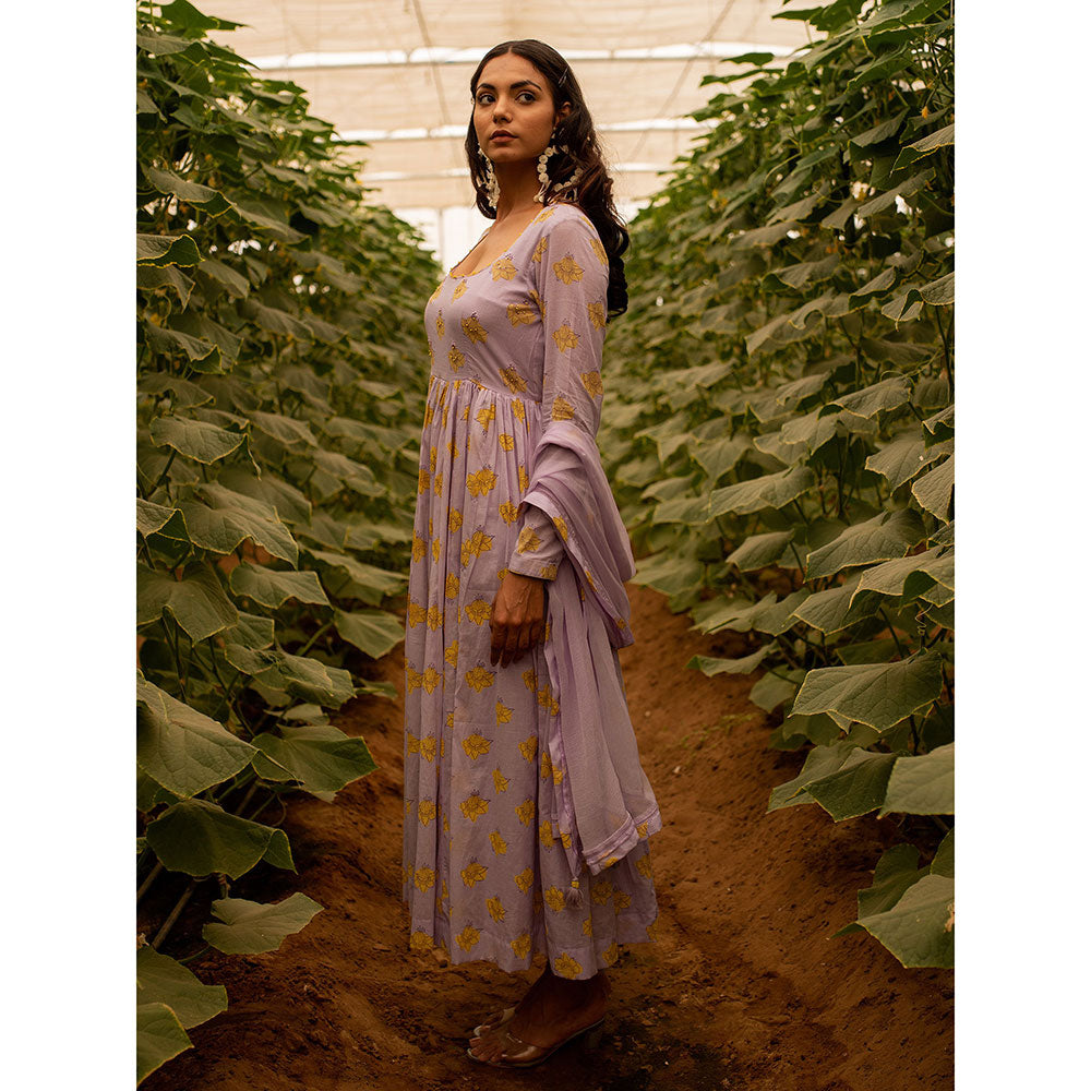 Baise Gaba Lavender Lavender Beauty Anarkali (Set of2)
