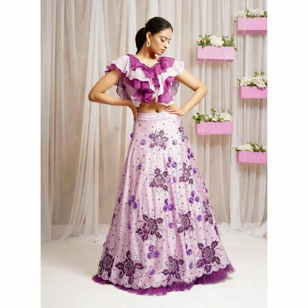 Farha Syed Periwinkle Hand Embroidered Top with Lehenga Skirt (Set of 2)