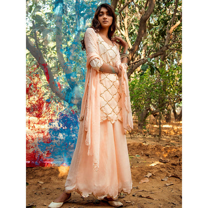 Gulaal Geha Sequin Kurta Palazzo Dupatta Peach (Set of 3)
