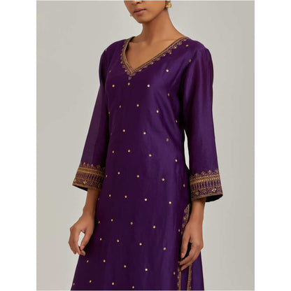 Ikshita Choudhary Purple Kurta (Set of 2)