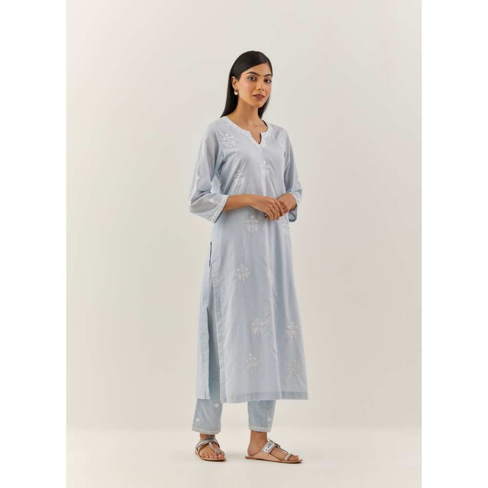 Ikshita Choudhary Blue Kurta (Set of 2)