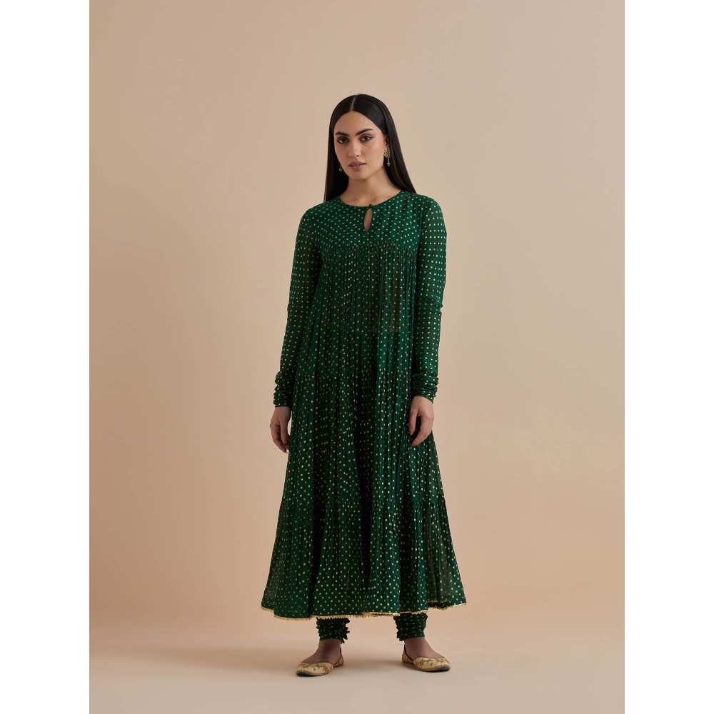 Ikshita Choudhary Green Printed Chanderi Anarkali With Churidar And Dupatta (Set of 3)