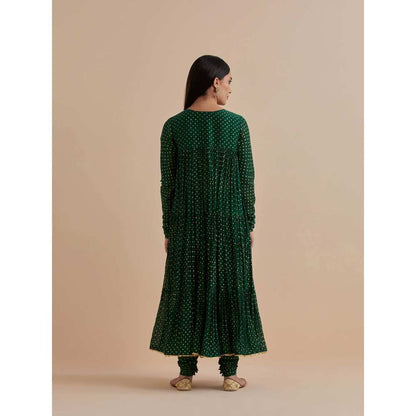 Ikshita Choudhary Green Printed Chanderi Anarkali With Churidar And Dupatta (Set of 3)