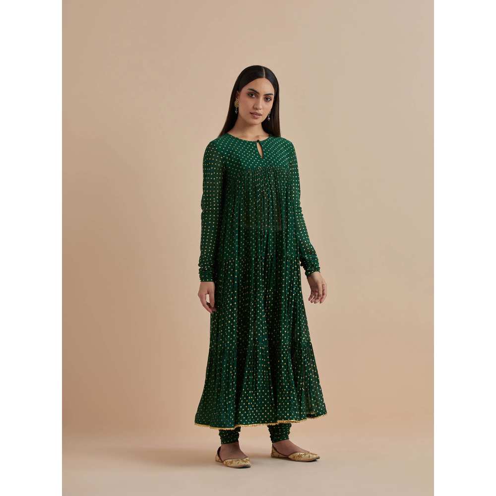 Ikshita Choudhary Green Printed Chanderi Anarkali With Churidar And Dupatta (Set of 3)