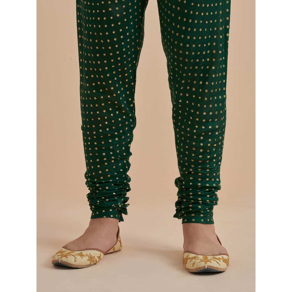 Ikshita Choudhary Green Printed Chanderi Anarkali With Churidar (Set of 2)