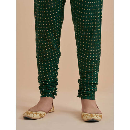 Ikshita Choudhary Green Printed Chanderi Anarkali With Churidar (Set of 2)