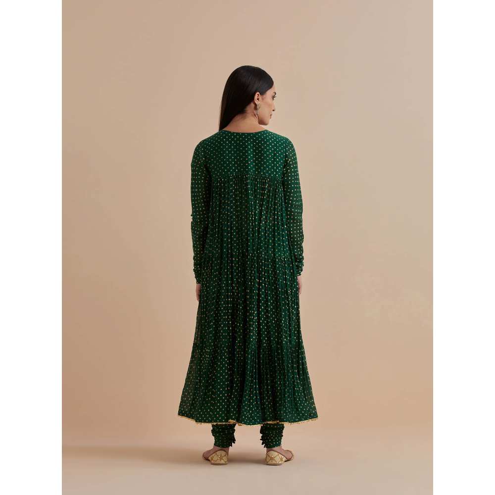 Ikshita Choudhary Green Printed Chanderi Anarkali With Churidar (Set of 2)