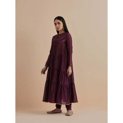 Ikshita Choudhary Purple Printed Chanderi Anarkali With Churidar (Set of 2)