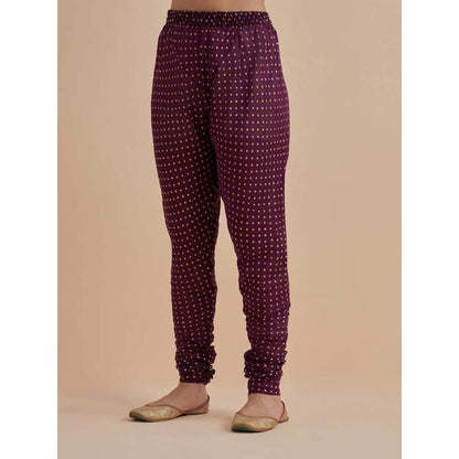 Ikshita Choudhary Purple Printed Chanderi Anarkali With Churidar (Set of 2)