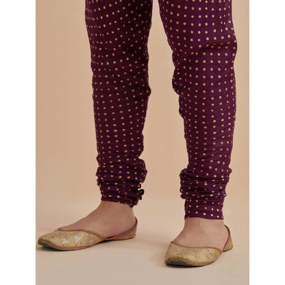 Ikshita Choudhary Purple Printed Chanderi Anarkali With Churidar (Set of 2)