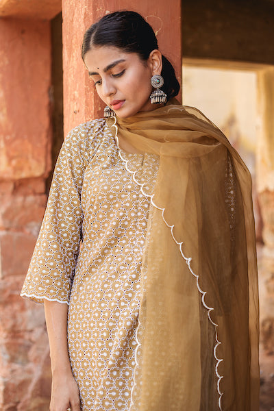 Classic Brown Chikan Set