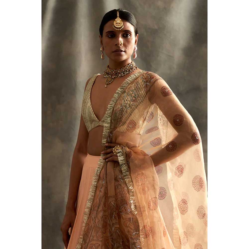 ITRH Dastoor Peach Lehenga (Set of 3)