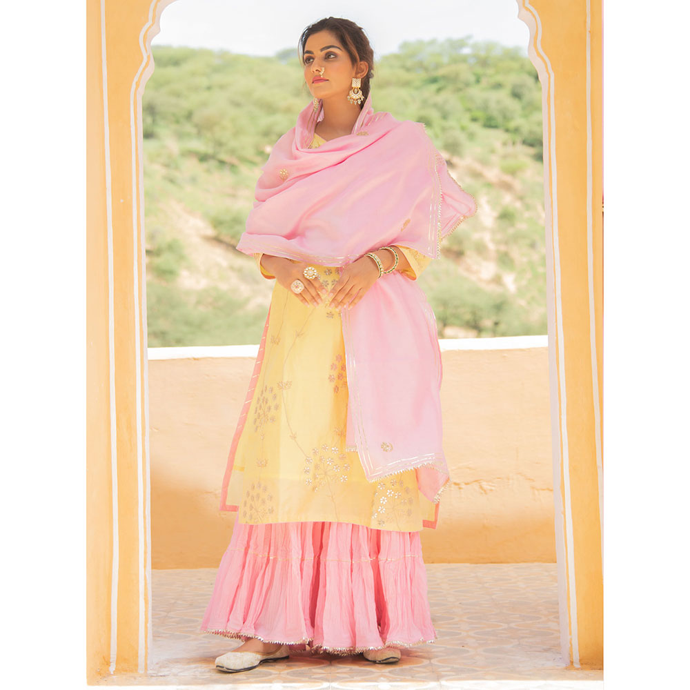 Maison Shefali Noor Haldi Gulaab Sharara (Set of 3)