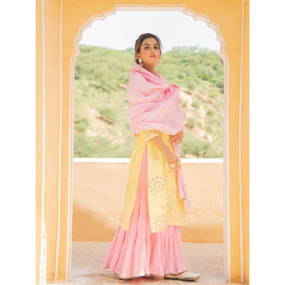 Maison Shefali Noor Haldi Gulaab Sharara (Set of 3)