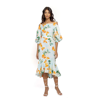 MANDIRA WIRK Cotton Poplin Printed Midi Dress Blue