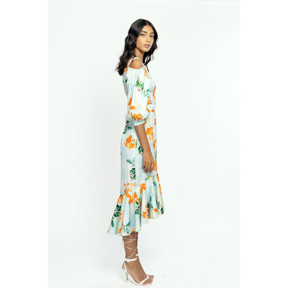 MANDIRA WIRK Cotton Poplin Printed Midi Dress Blue