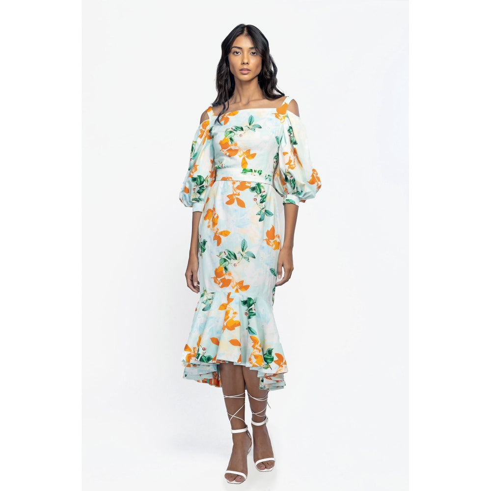 MANDIRA WIRK Cotton Poplin Printed Midi Dress Blue