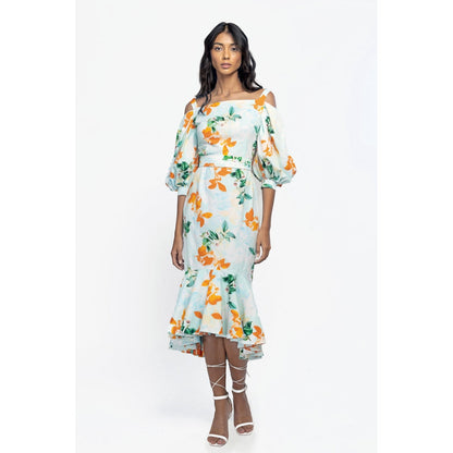 MANDIRA WIRK Cotton Poplin Printed Midi Dress Blue