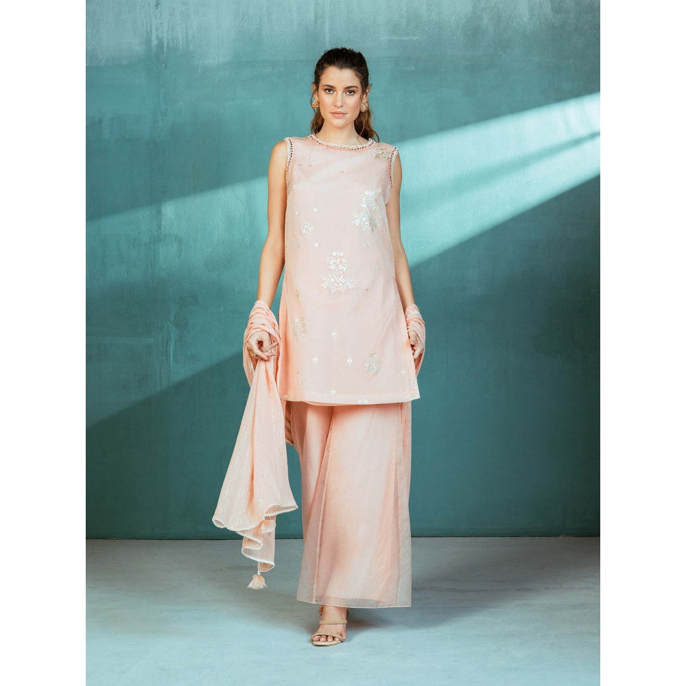 MANDIRA WIRK Salmon Pink Organza Foil Printed and Embroidered Palazzo (Set of 3)