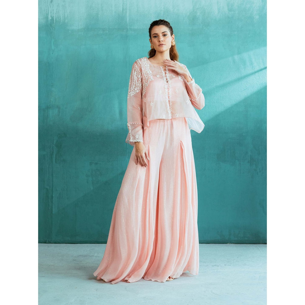 MANDIRA WIRK Peach Embroidered Organza Palazzo (Set of 3)