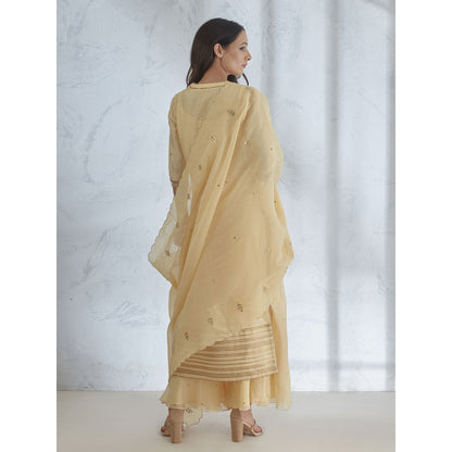 Mandira Wirk Pale Yellow Hand Embroidered Kurta With Sharara And Dupatta (Set of 3)