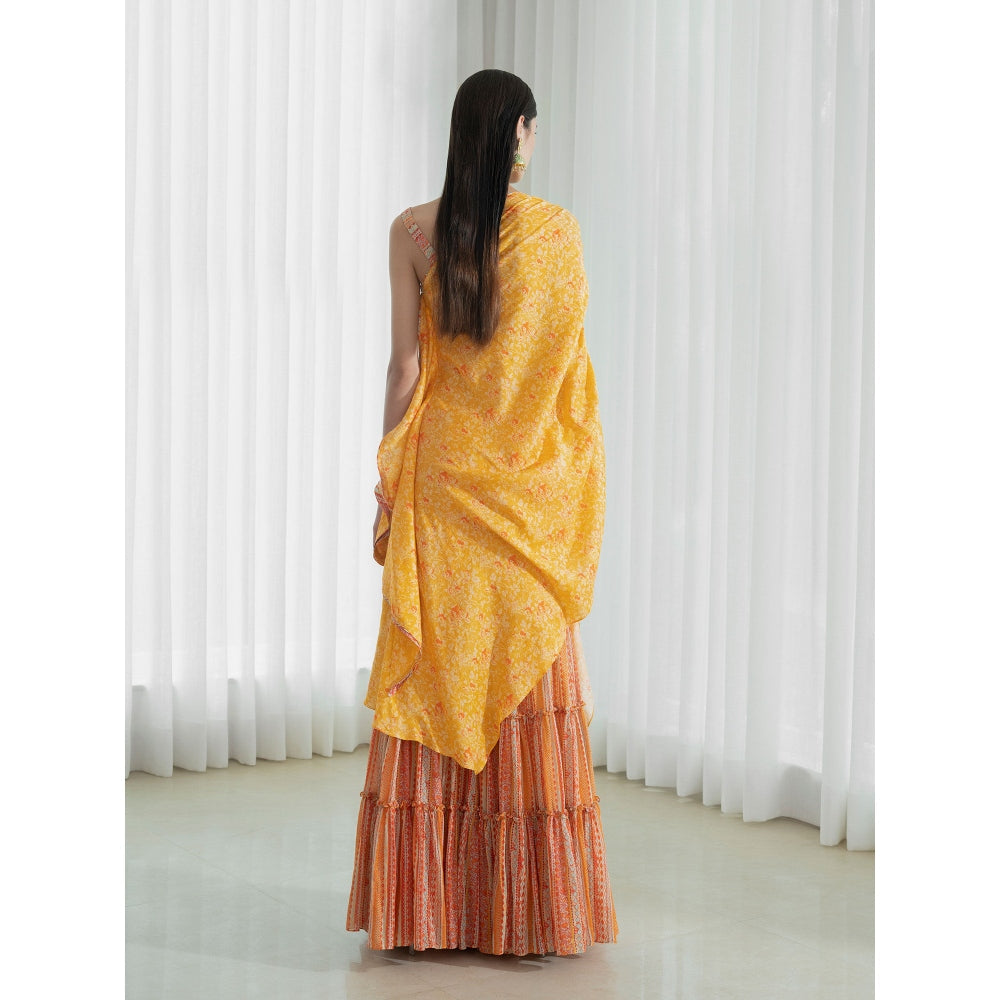 Mandira Wirk Multi-Colour Kurta (Set of 2)