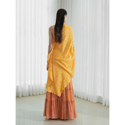 Mandira Wirk Multi-Colour Kurta (Set of 2)
