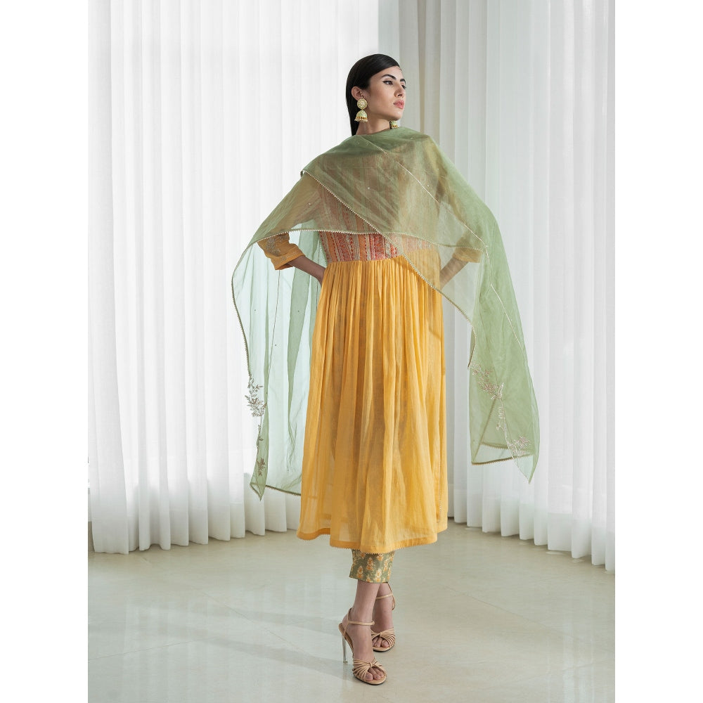 Mandira Wirk Multi-Colour Kurta (Set of 3)