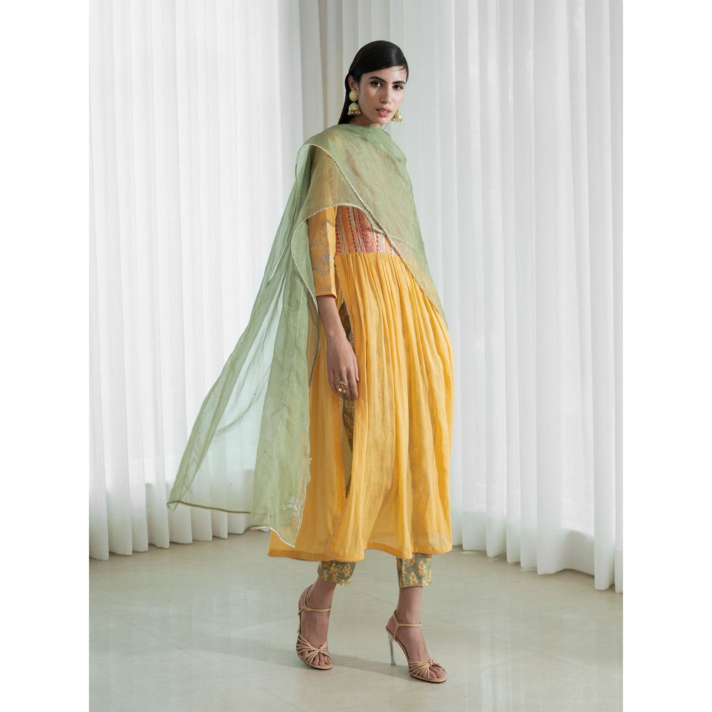 Mandira Wirk Multi-Colour Kurta (Set of 3)