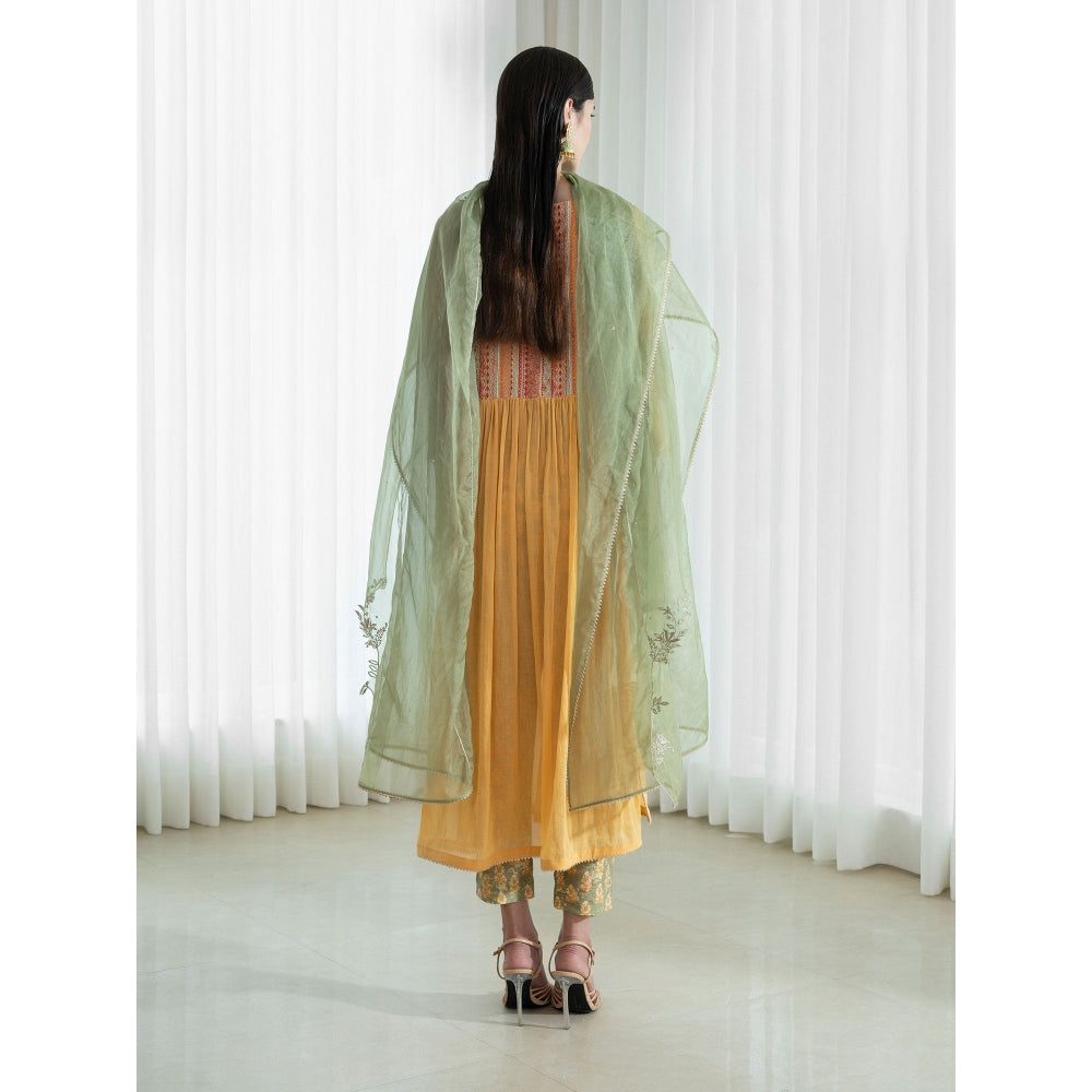 Mandira Wirk Multi-Colour Kurta (Set of 3)