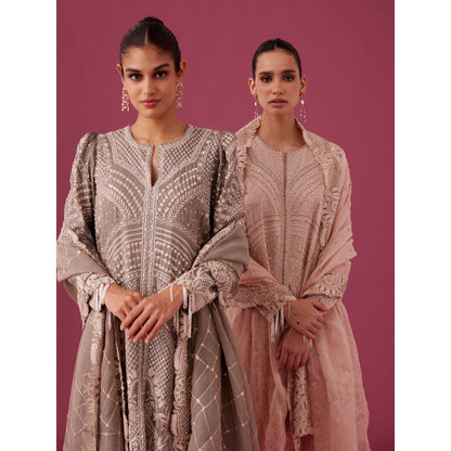 MEDHA BATRA Embroidered Organza Kurta with Pin Tucks Pant & Organza Dupatta Pink (Set of 3)