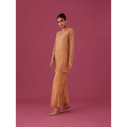 Medha Batra Brown Champagne Rose Net Co-Ord (Set of 3)