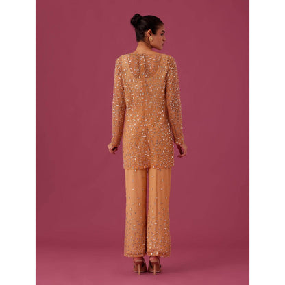 Medha Batra Brown Champagne Rose Net Co-Ord (Set of 3)