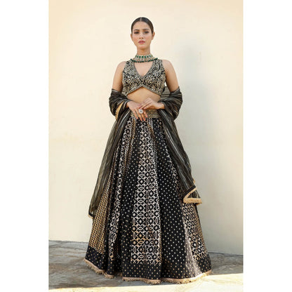 Neha Khullar Banarasi Chanderi Lehenga (Set of 3)