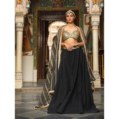 Neha Khullar Dobby Fabrice Lehenga (Set of 3)