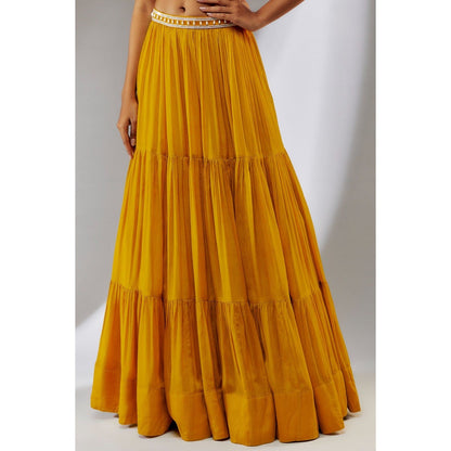 Neha Khullar Chiffon Yellow Embellished Lehenga with Choli and Cape (Set of 3)