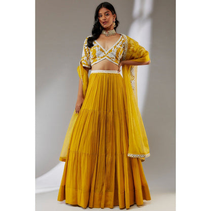 Neha Khullar Chiffon Yellow Beads and Stones Embellished Lehenga (Set of 3)