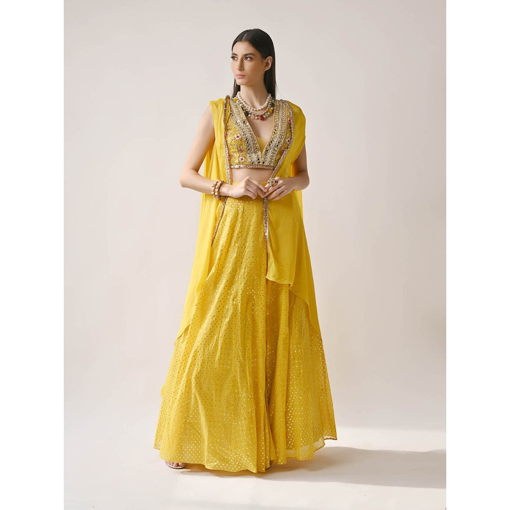 Neha Khullar Yellow Banarasi Chanderi Lehenga (Set of 3)