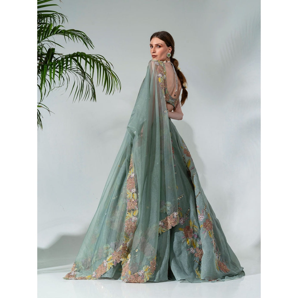 Neha Khullar Green Organza Hand Embroidered Lehenga Blouse with Dupatta (Set of 3)