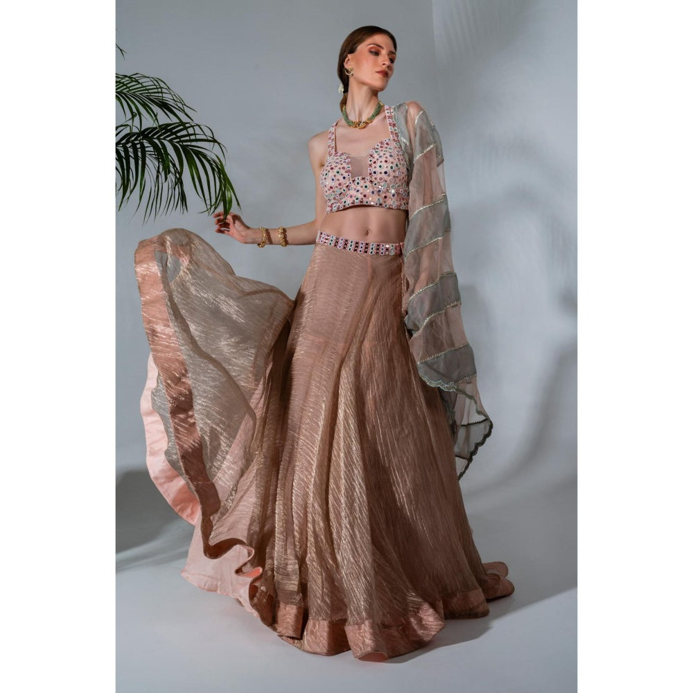 Neha Khullar Pink Tissue Chanderi Lehenga Blouse with Organza Dupatta (Set of 3)