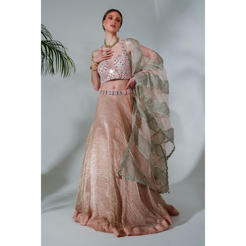 Neha Khullar Pink Tissue Chanderi Lehenga Blouse with Organza Dupatta (Set of 3)
