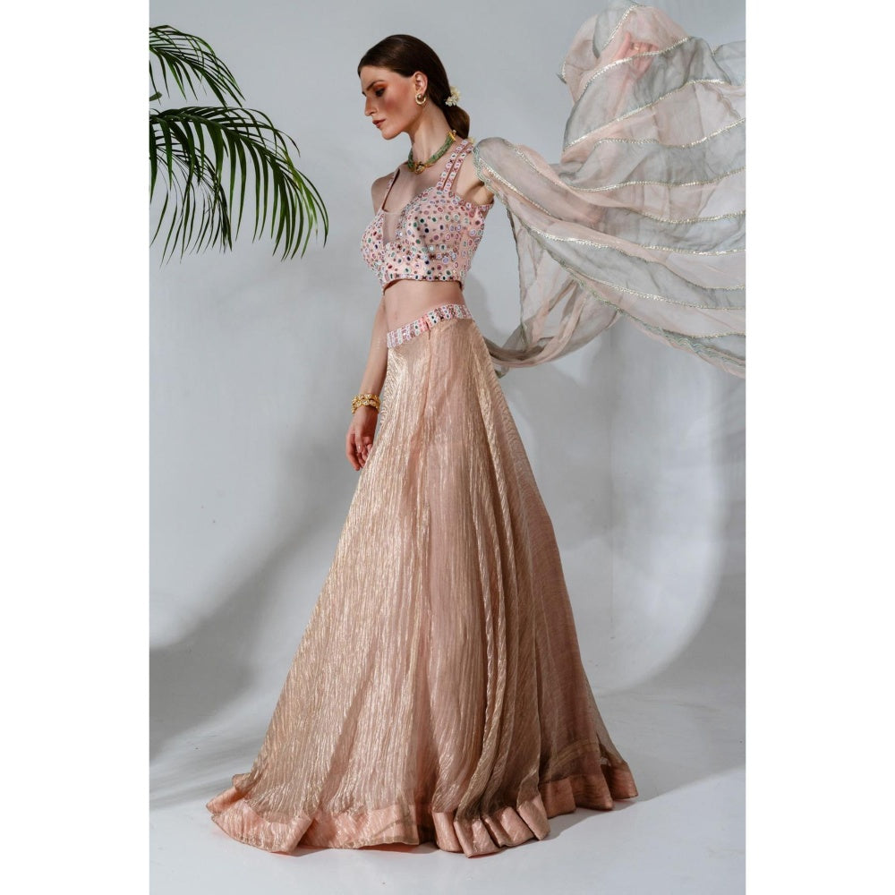 Neha Khullar Pink Tissue Chanderi Lehenga Blouse with Organza Dupatta (Set of 3)