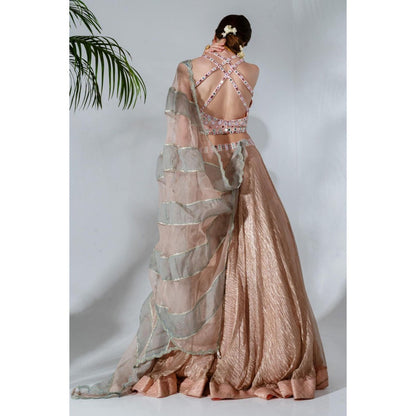Neha Khullar Pink Tissue Chanderi Lehenga Blouse with Organza Dupatta (Set of 3)