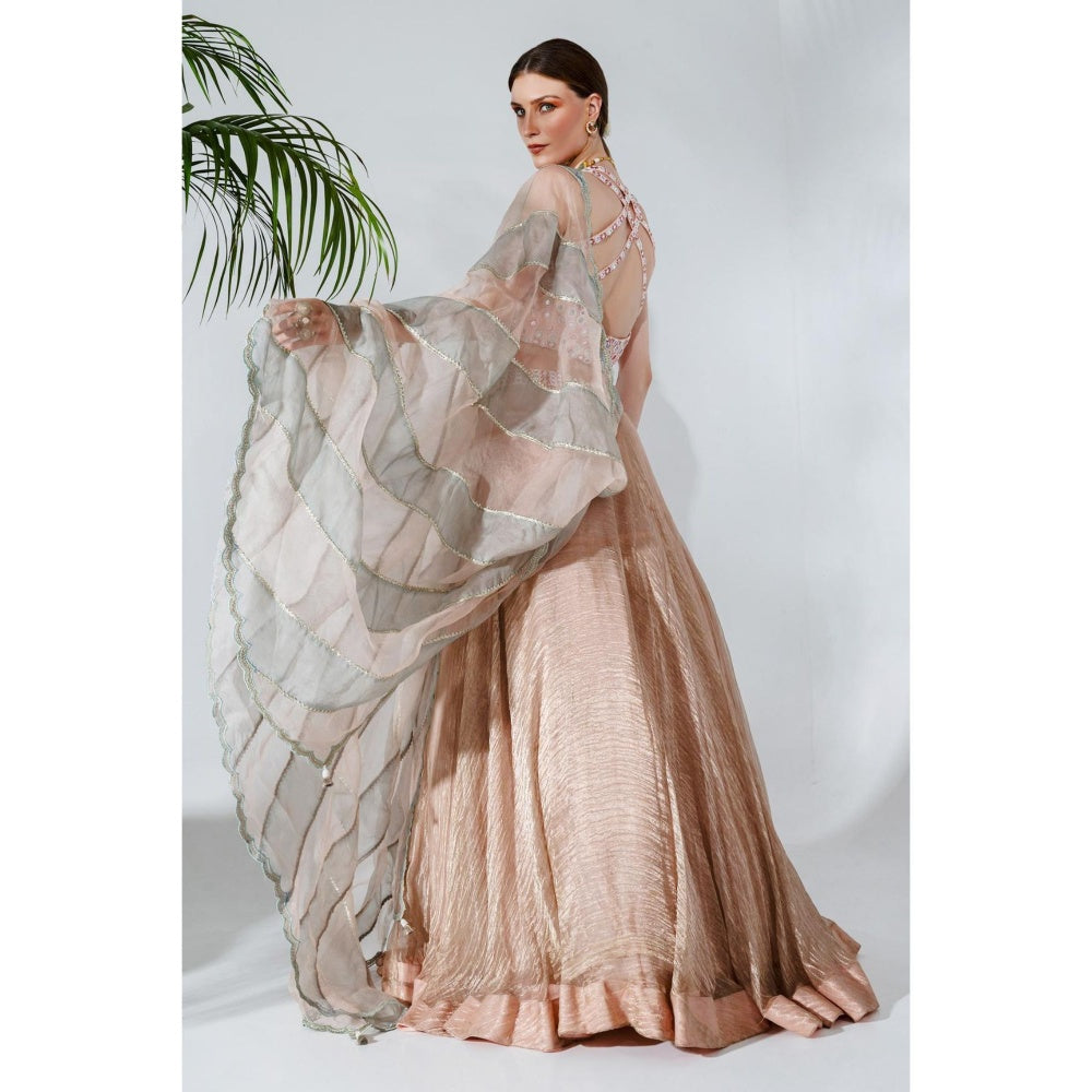 Neha Khullar Pink Tissue Chanderi Lehenga Blouse with Organza Dupatta (Set of 3)
