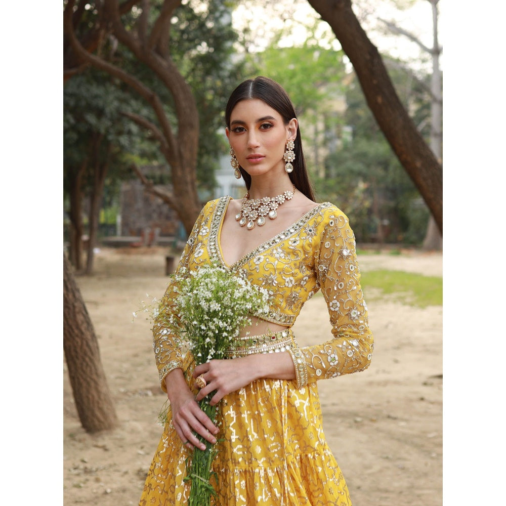 Neha Khullar Yellow Tissue Chanderi Lehenga Blouse with Organza Dupatta (Set of 3)