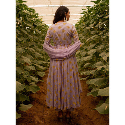 Baise Gaba Lavender Lavender Chiffon Dupatta