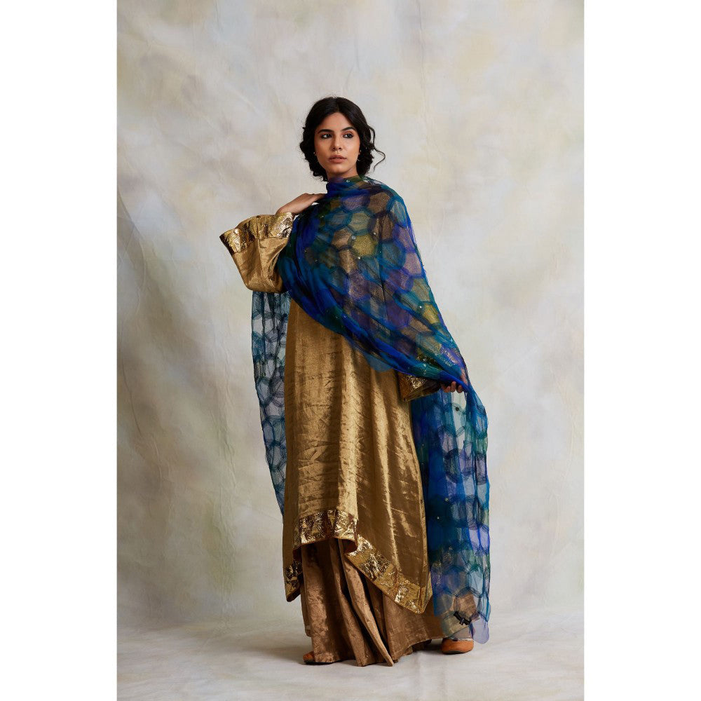 PRIYANKA RAAJIV Indivar Patchwork Blue Dupatta