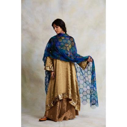 PRIYANKA RAAJIV Indivar Patchwork Blue Dupatta
