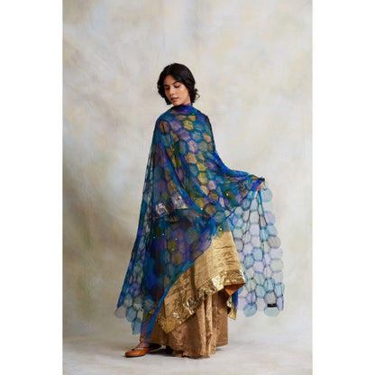 PRIYANKA RAAJIV Indivar Patchwork Blue Dupatta